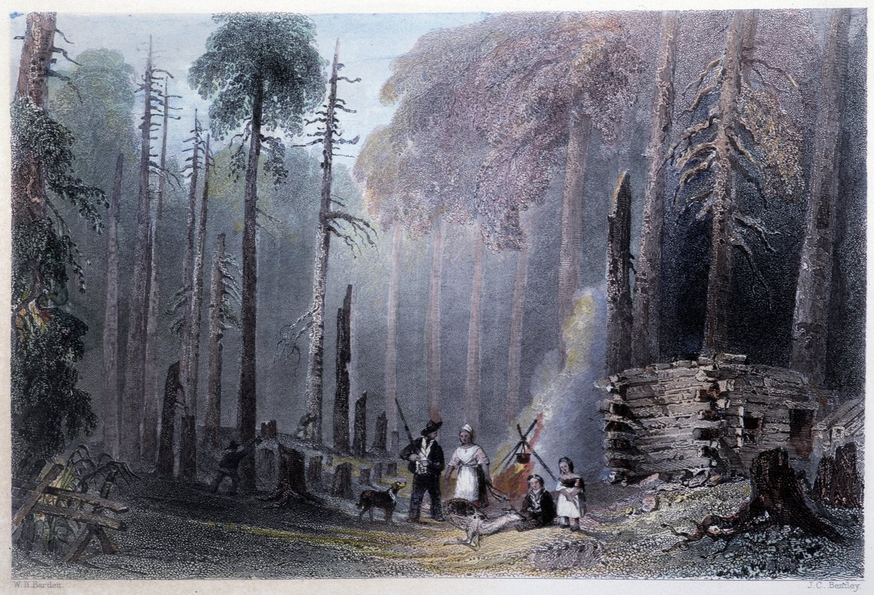 Első telepes telepítés – a W.H. által illusztrált „” kanadai tájban. Bartlett, London alkotó: William Henry Bartlett