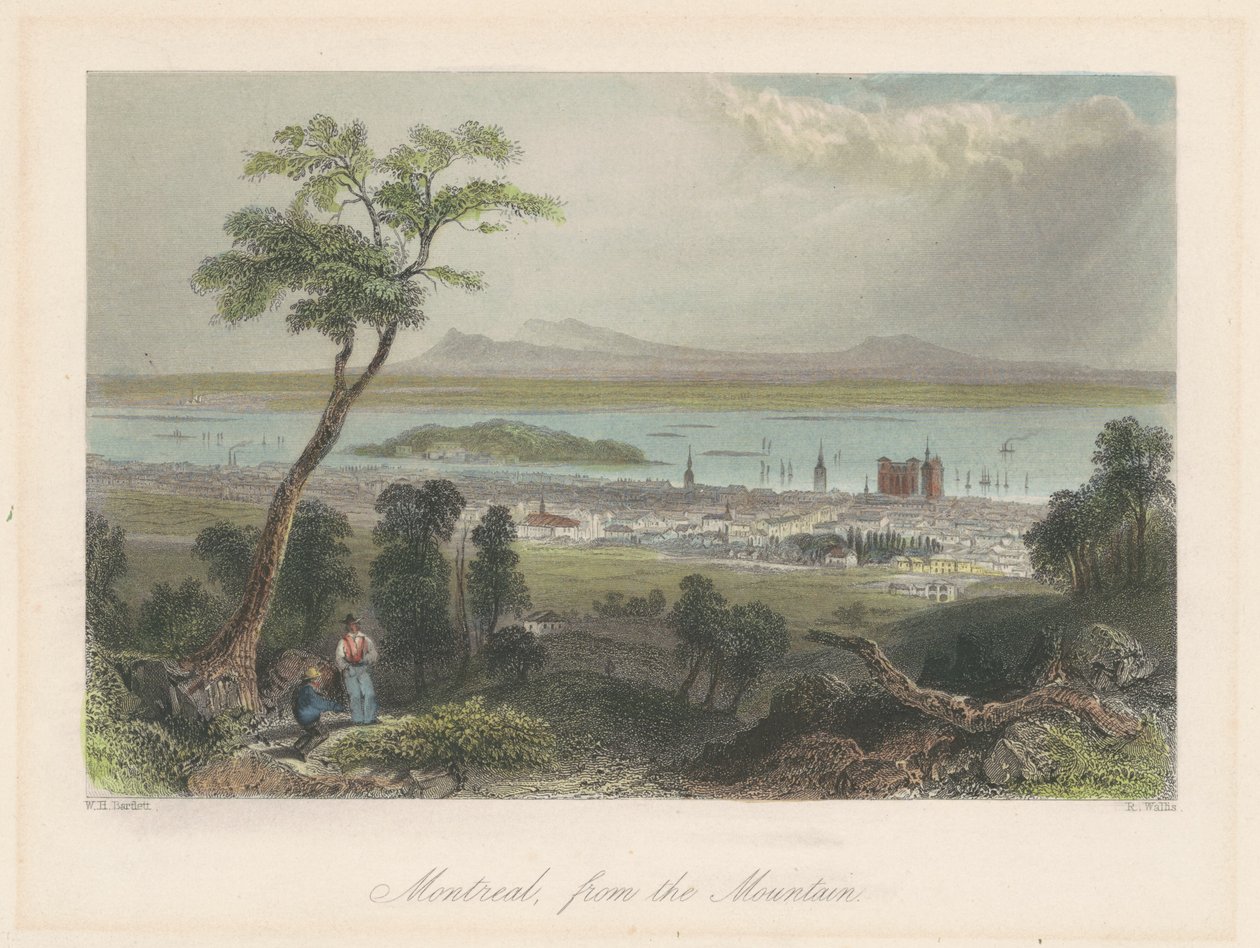 Montreal a hegyről nézve alkotó: William Henry Bartlett