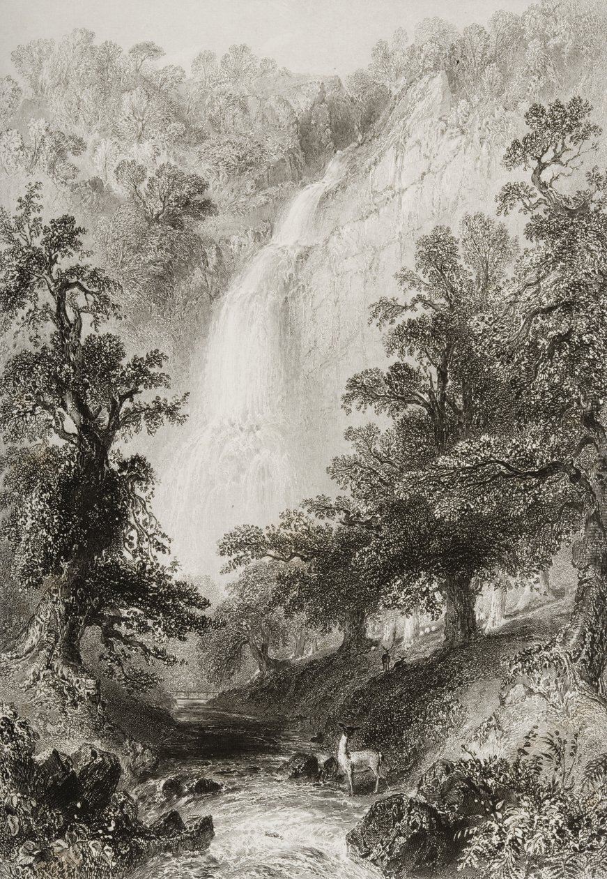 The Waterfall, Powerscourt, Wicklow megye, Írország, George Virtue „Scenery and Antiquities of Ireland” című művéből, 1860-as évek alkotó: William Henry Bartlett