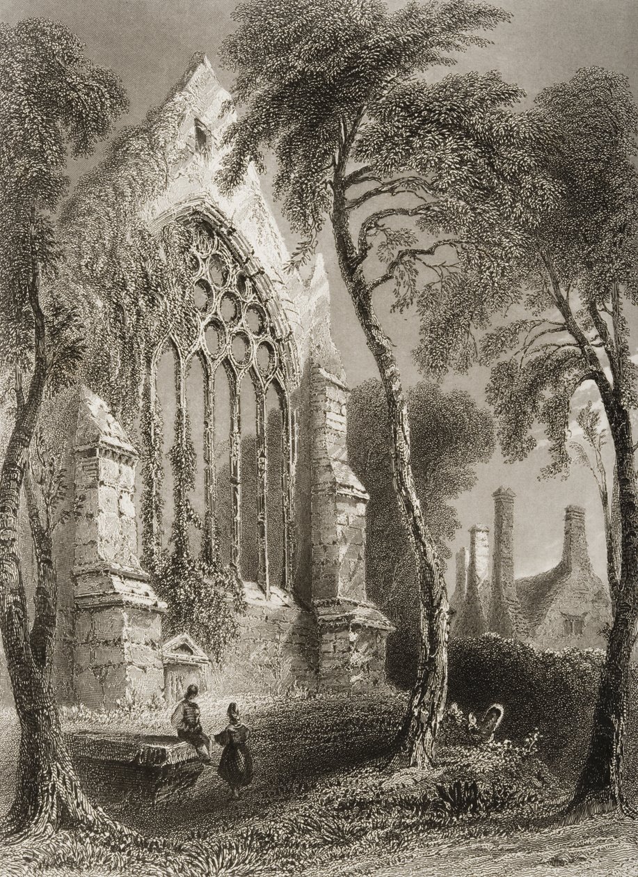 Youghal Abbey, Cork megye, Írország, George Virtue „Scenery and Antiquities of Ireland” című művéből, 1860-as évek alkotó: William Henry Bartlett