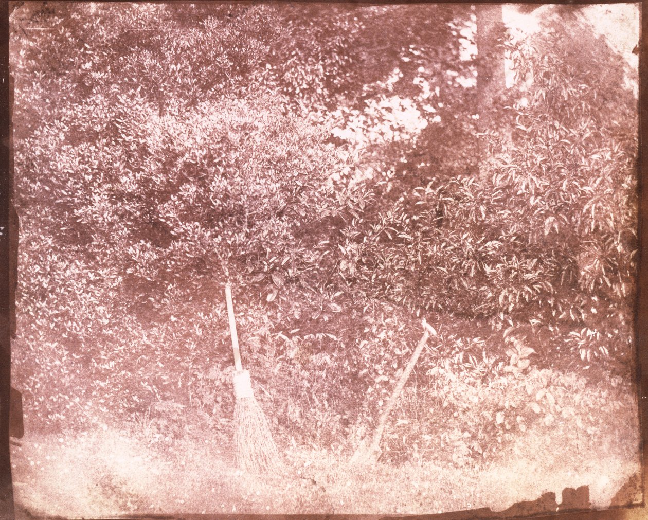 Seprű és ásó, 1842 alkotó: William Henry Fox Talbot