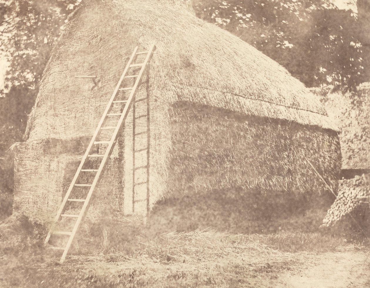 Szénaboglya alkotó: William Henry Fox Talbot
