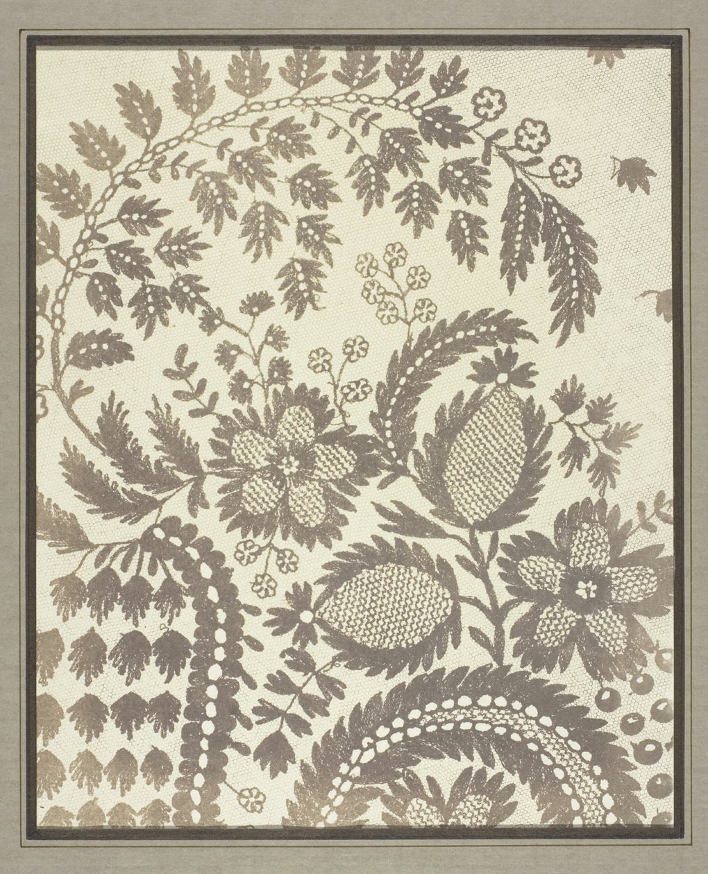 Csipke alkotó: William Henry Fox Talbot