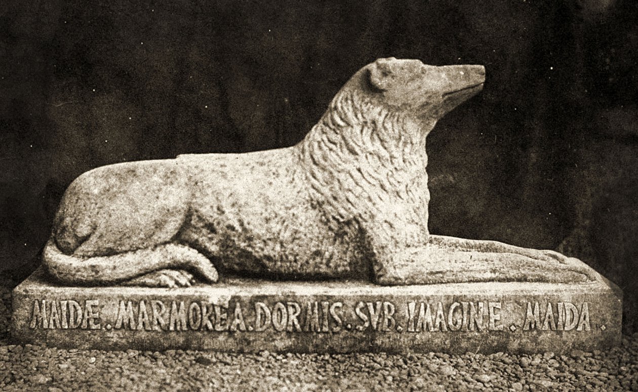 Maida szobra, a jelentések szerint Sir Walter Scott kedvenc kutyája. (szépia fotó) alkotó: William Henry Fox Talbot