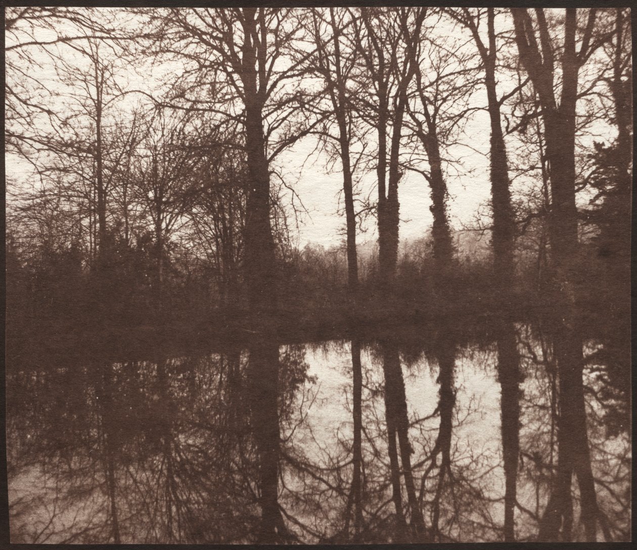 Téli fák tükröződnek a tóban alkotó: William Henry Fox Talbot