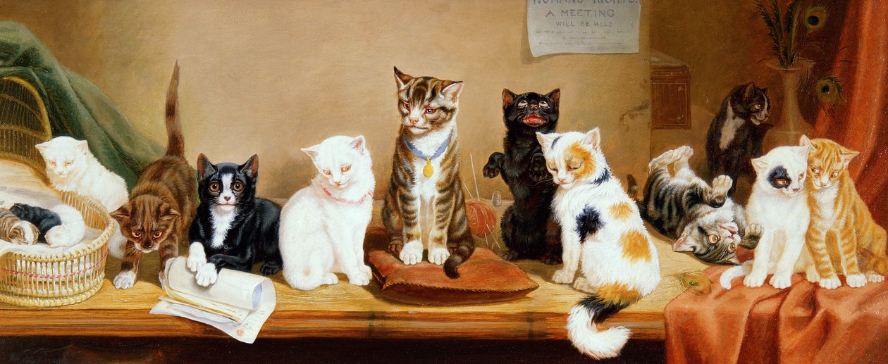 Női jogok – Találkozó, 1885 alkotó: William Henry Hamilton Trood