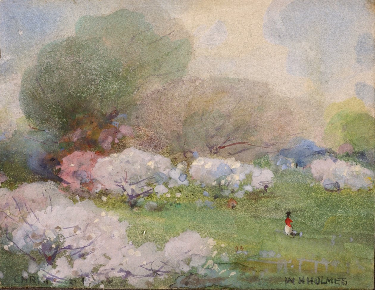 Cherry Blossoms, n.d. alkotó: William Henry Holmes