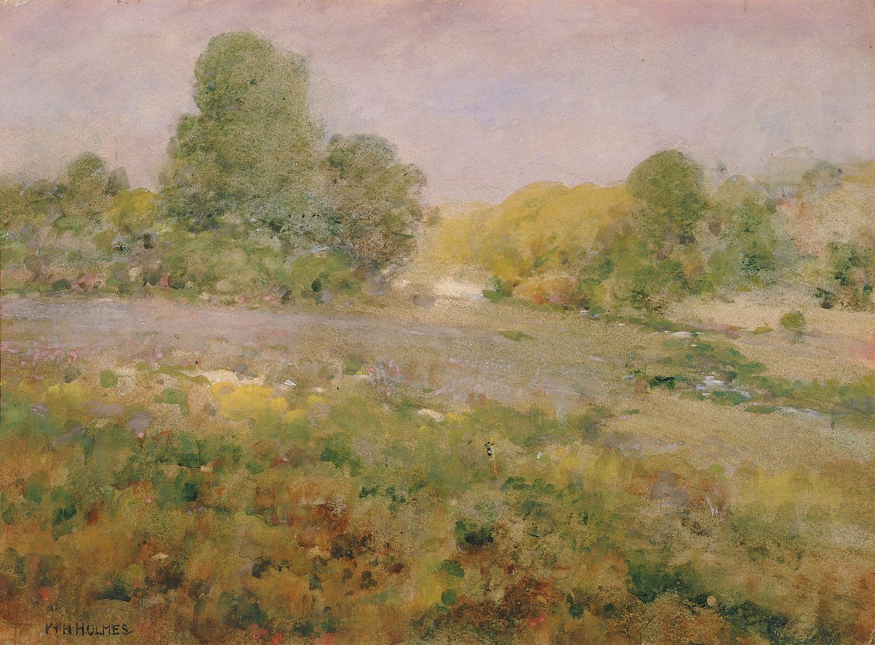 Változatos füvek mezője késő nyáron A Virginia Hillsben, n.d. alkotó: William Henry Holmes