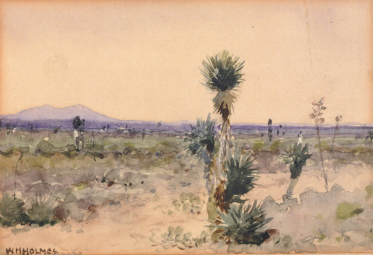 Yuccaland--Chihuahua, Mexikó alkotó: William Henry Holmes