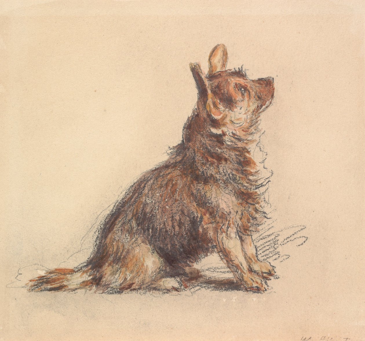 Ülő terrier, felfelé jobbra tekintve alkotó: William Henry Hunt