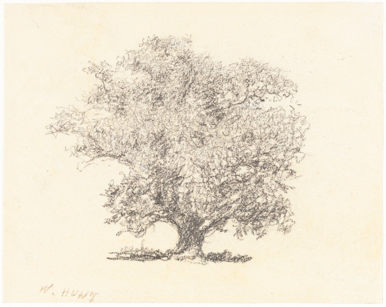 Egész levelű fa alkotó: William Henry Hunt