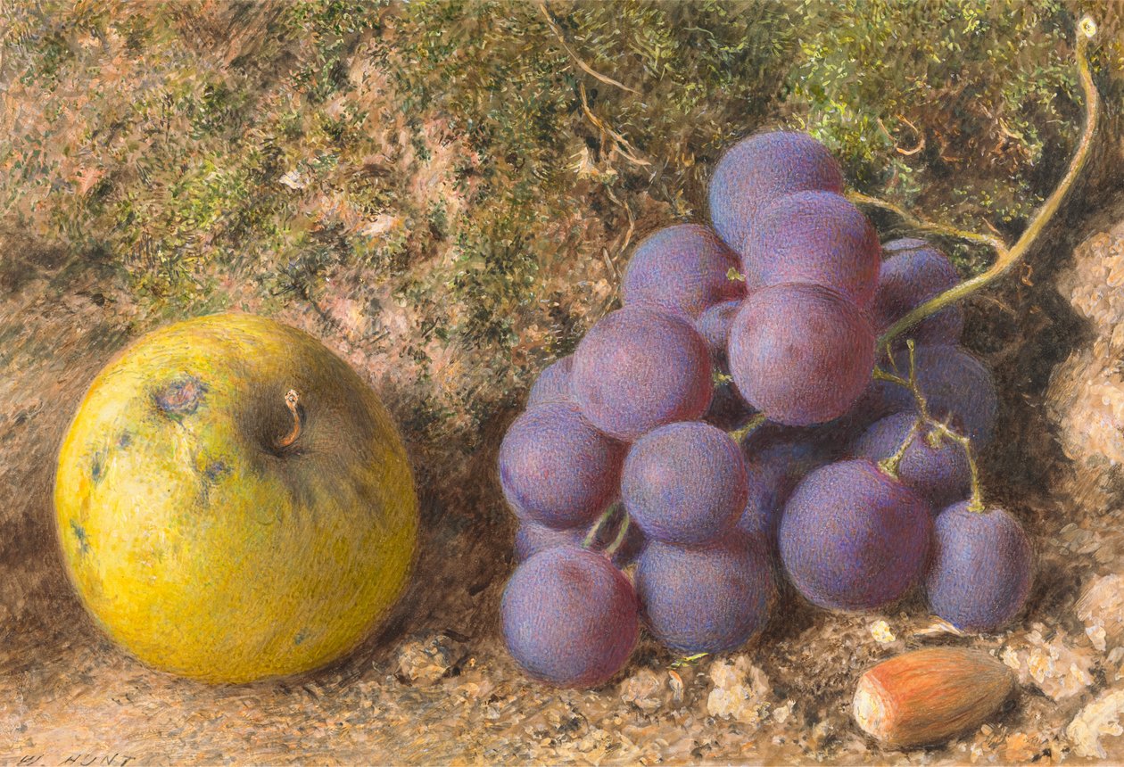 Alma, szőlő és csutka-dió alkotó: William Henry Hunt
