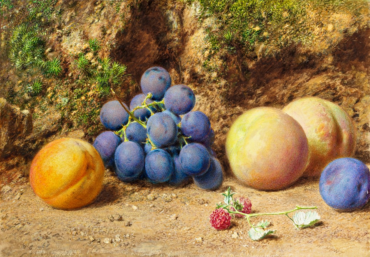 Fekete szőlő, őszibarack, sárgabarack és málna, 1860 körül alkotó: William Henry Hunt