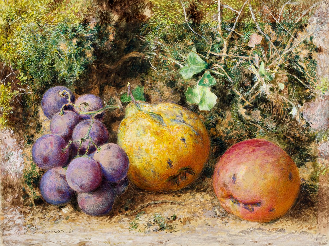 Fekete szőlő, birsalma és újvárosi Pippin, 1861 (wc a kártyán) alkotó: William Henry Hunt