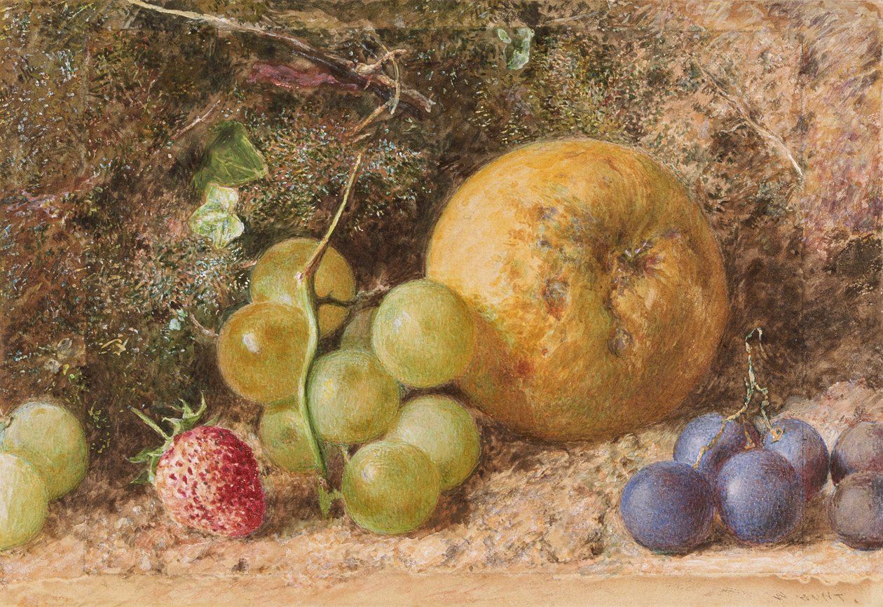 „Gyümölcsdarab”, c1855 alkotó: William Henry Hunt