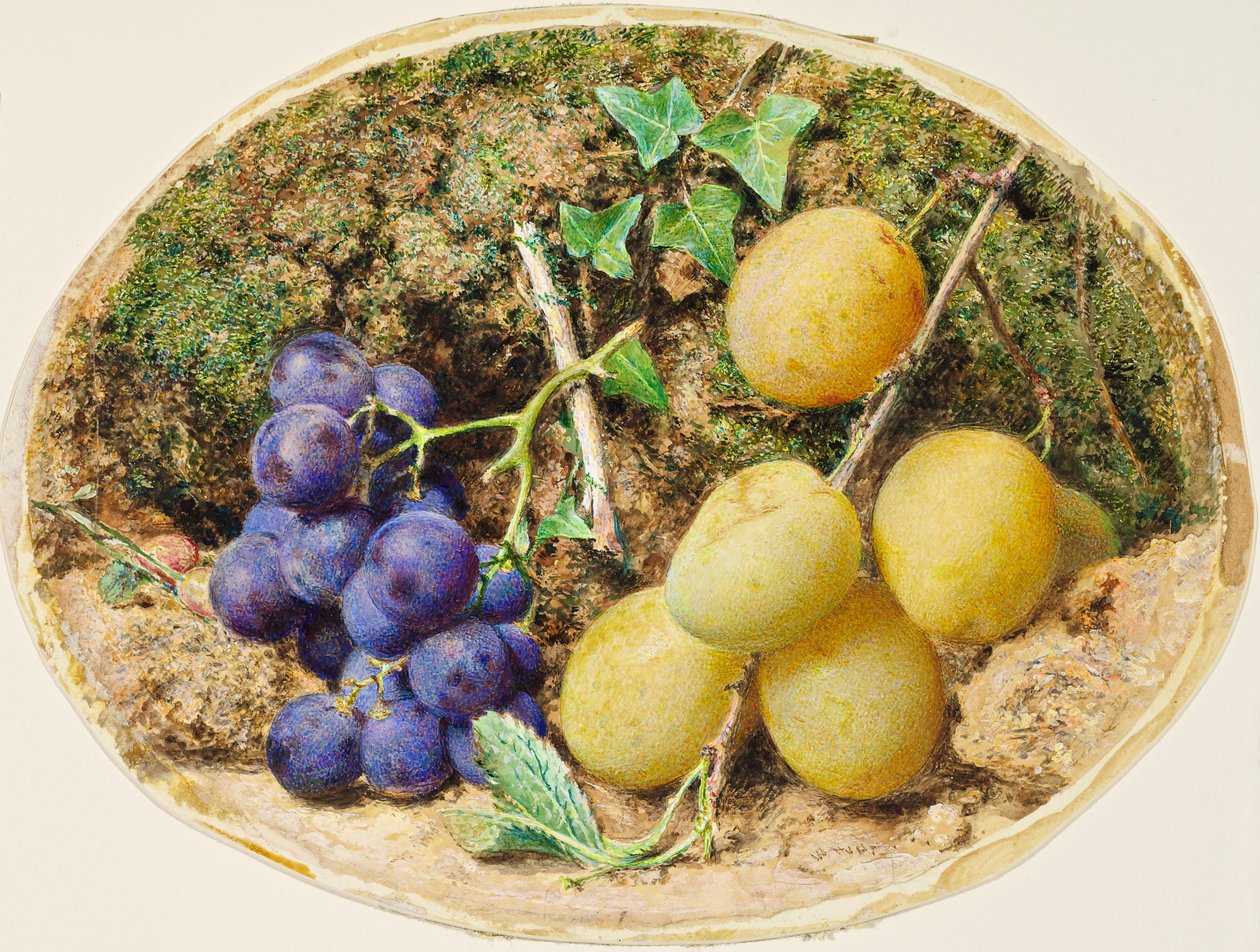 Arany csepp szilva és fekete szőlő, 1860 körül alkotó: William Henry Hunt