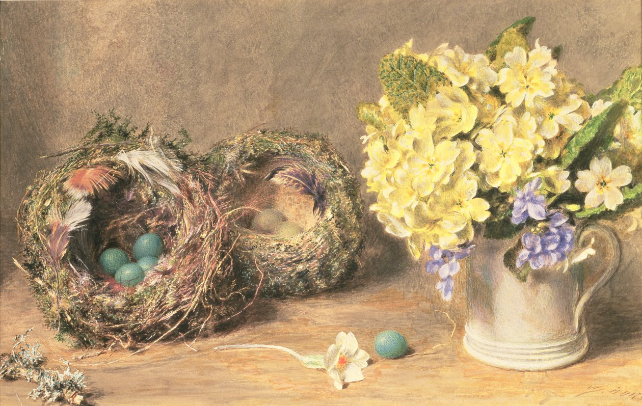 Tavaszi virágok és madárfészkek, 1830 körül (akvarell és testfesték papíron) alkotó: William Henry Hunt
