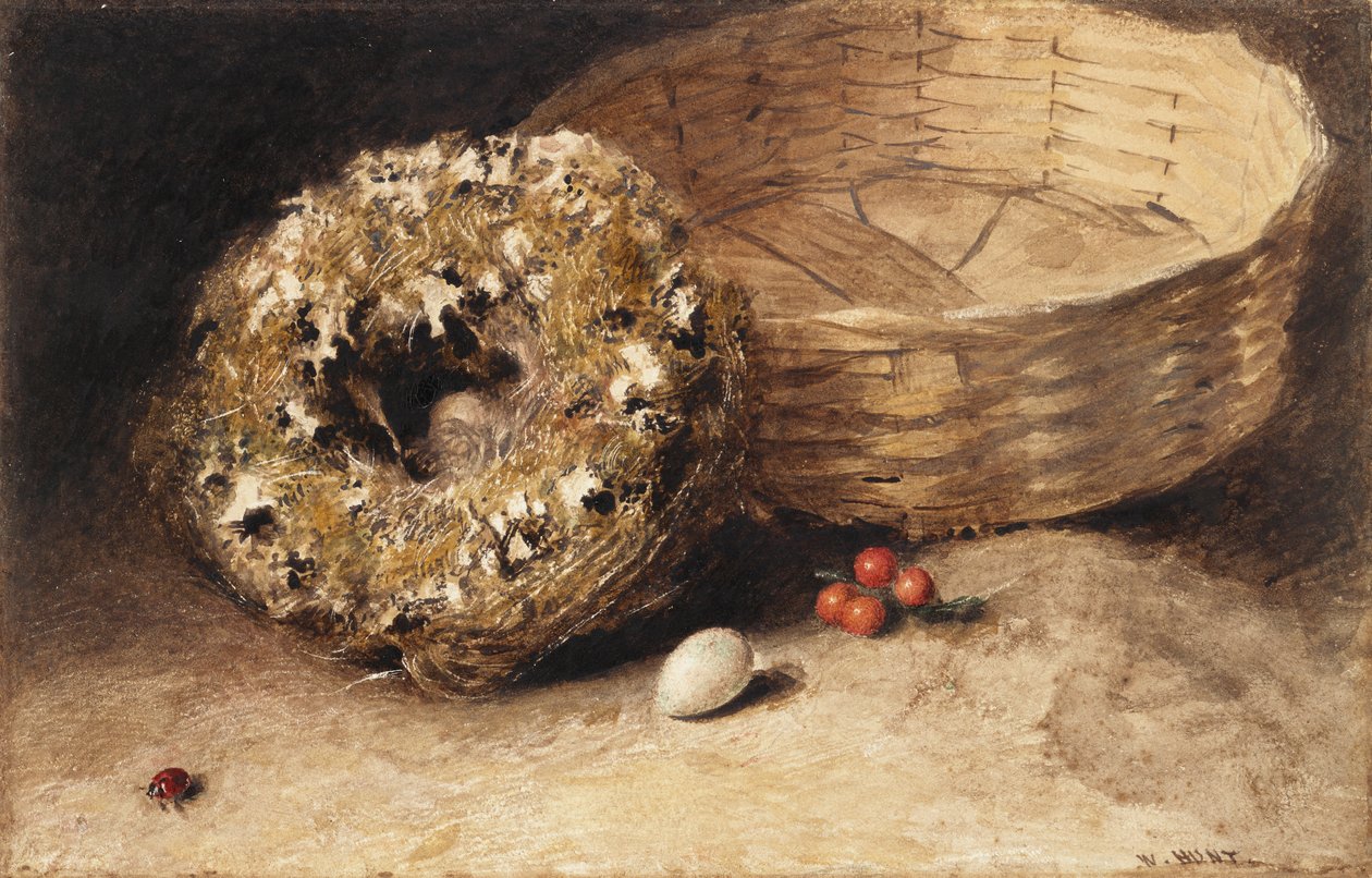 Csendélet kosárral, fészekkel, tojással, ribizlivel és katicával alkotó: William Henry Hunt