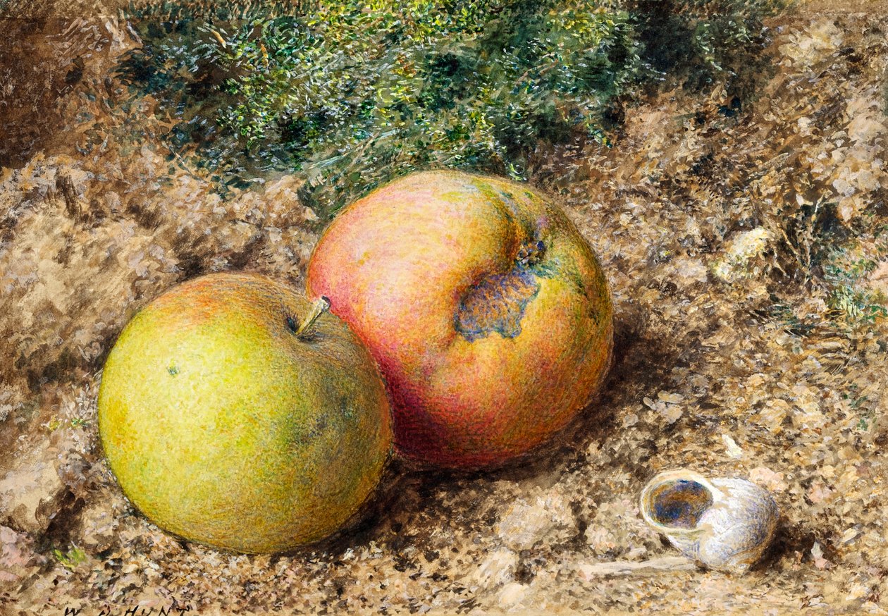 Csendélet két almával és egy csigaházzal alkotó: William Henry Hunt