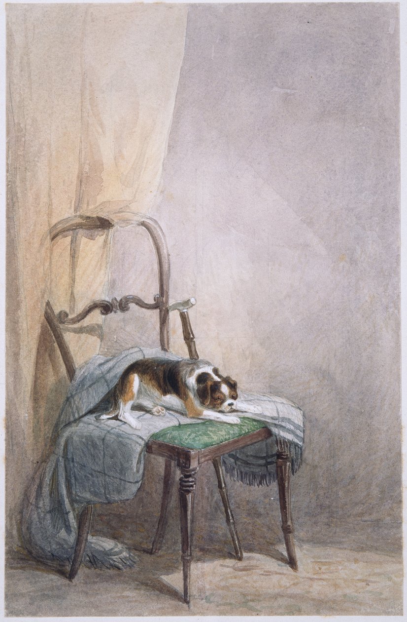 Kutya tanulmányozása egy széken (akvarell papíron) alkotó: William Henry Hunt