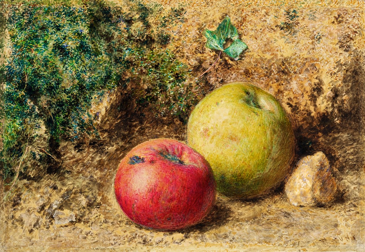 A kontraszt – piros és zöld alma, 1860 körül alkotó: William Henry Hunt