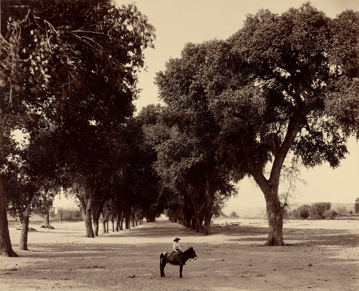 [Calle de Guadeloupe, Chihuahua, Mexikó] alkotó: William Henry Jackson