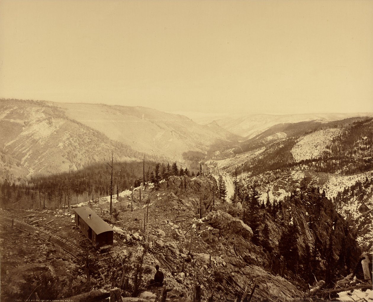 Los Pinos völgy, kelet felé nézve alkotó: William Henry Jackson