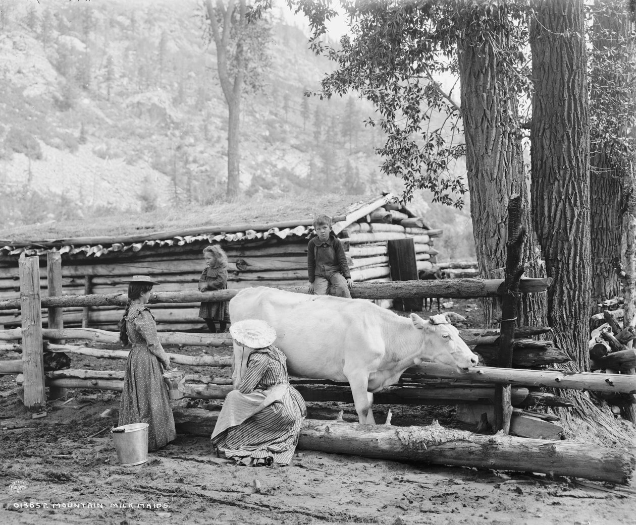 Hegyi tejeslányok Coloradóban, 1900 körül (f/w fotó) alkotó: William Henry Jackson