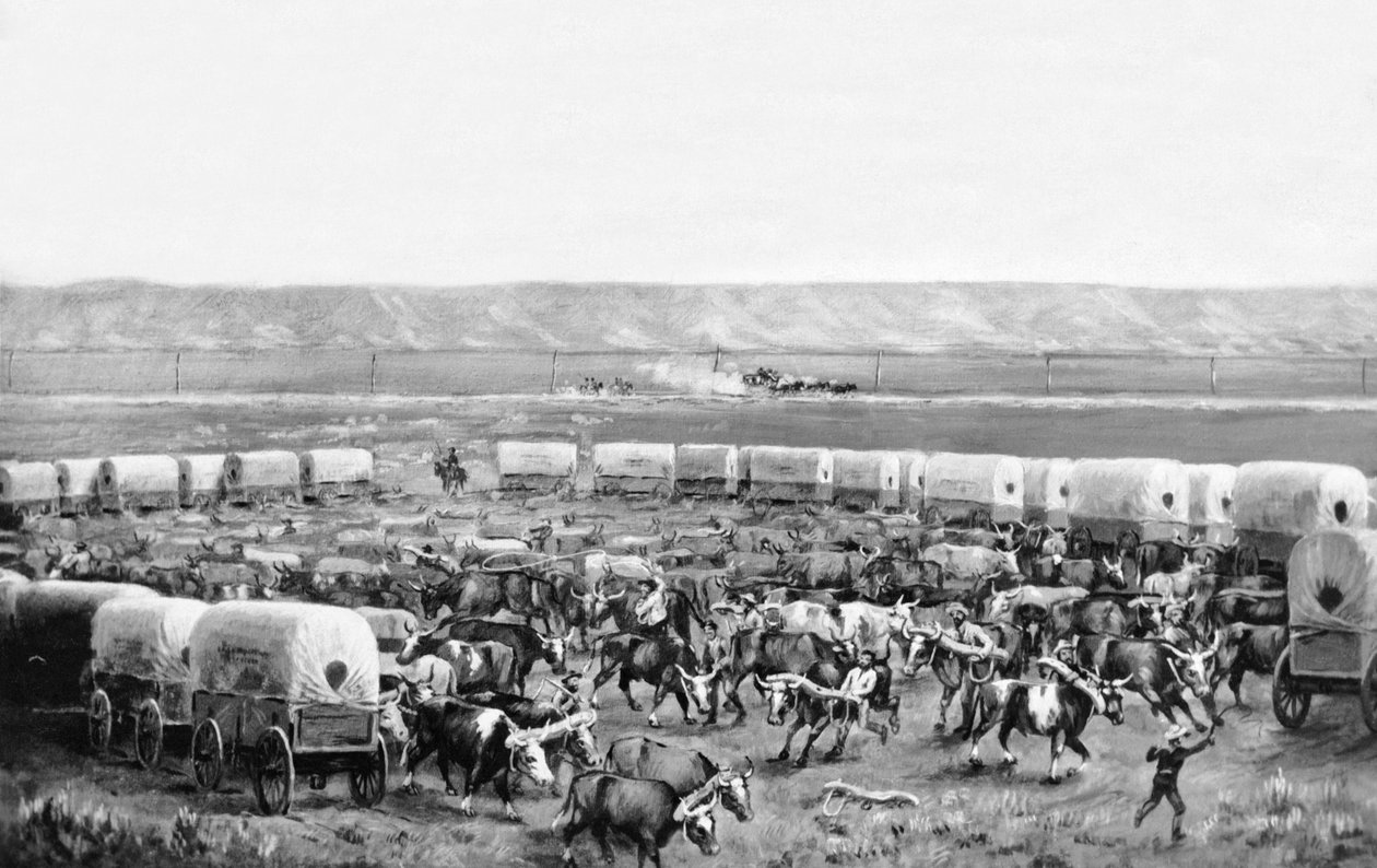 Ökrök igában fedett kocsik karámában W. H. Jackson, Scotts Bluff festményén, Nebraska: kb. 1875 alkotó: William Henry Jackson