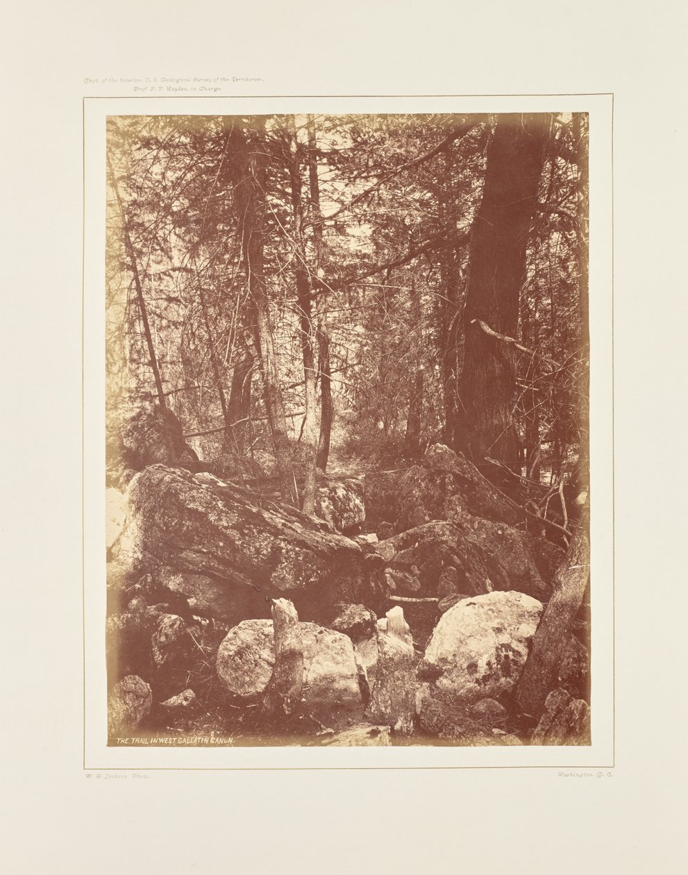 Az ösvény az erdőben, Gallatin Cañon alkotó: William Henry Jackson