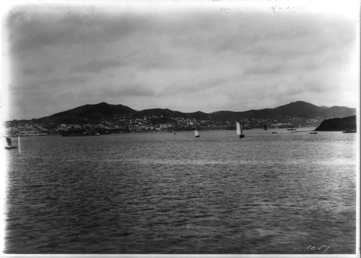 Vlagyivosztok - panorámás kilátás a kikötőből alkotó: William Henry Jackson