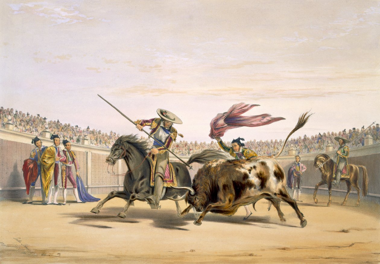 A bika követi a rohamot, 1865 alkotó: William Henry Lake Price