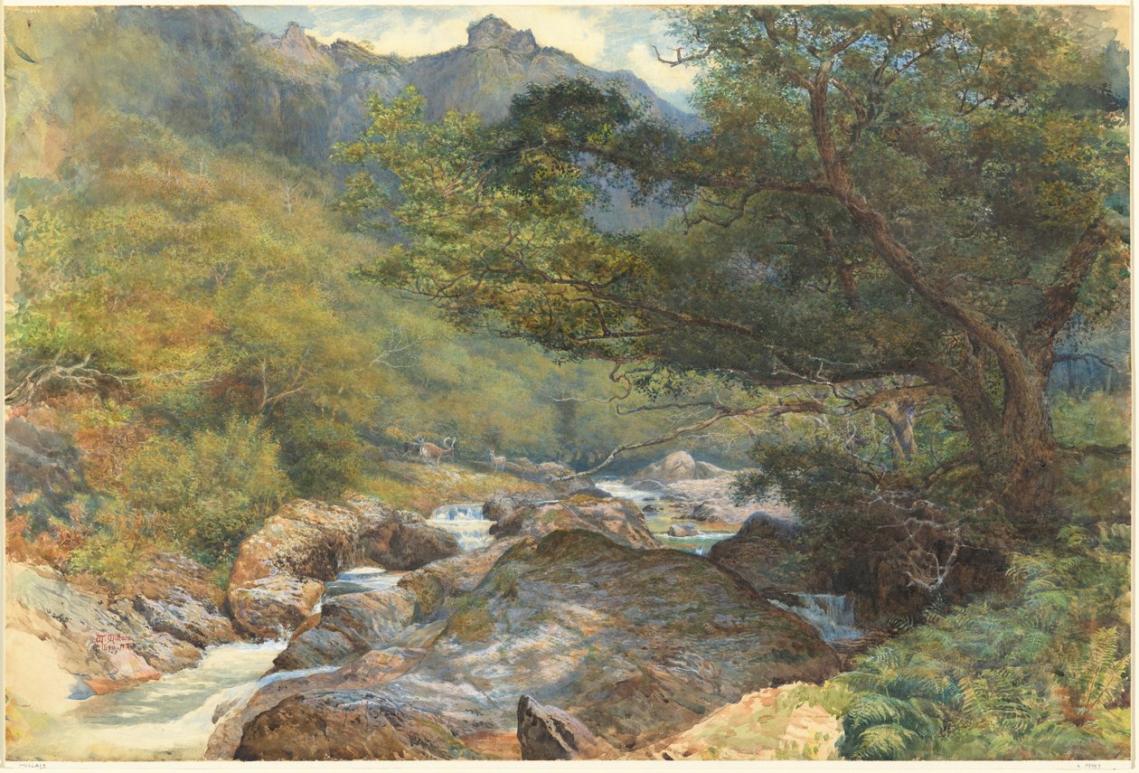 East Lynben, Észak-Devonban alkotó: William Henry Millais