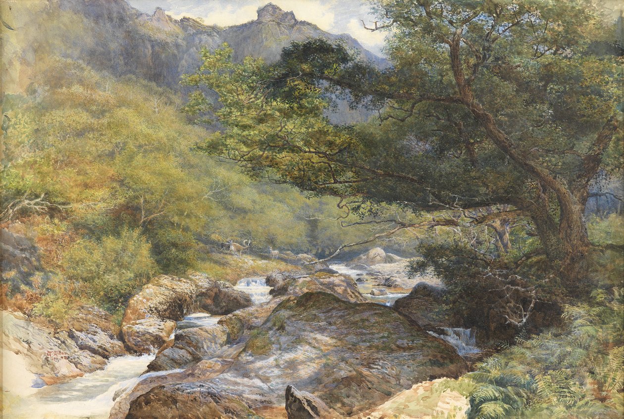 A Lyn, North Devon (Wc testszínnel és gumiarábikummal kiemelve) alkotó: William Henry Millais