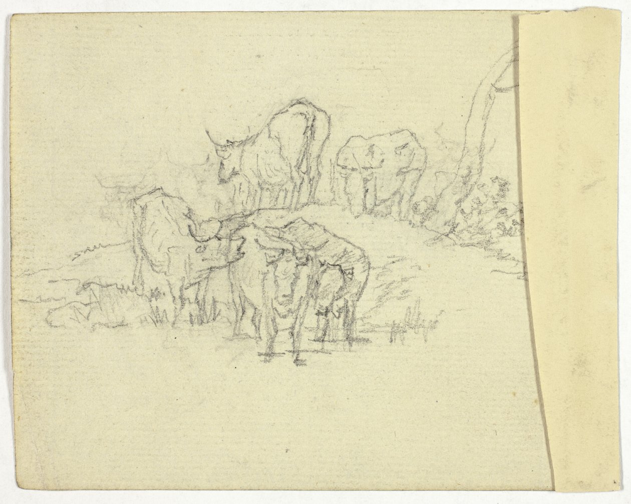 Szarvasmarha (recto); A sarlatán (fordítva) alkotó: William Henry Pyne