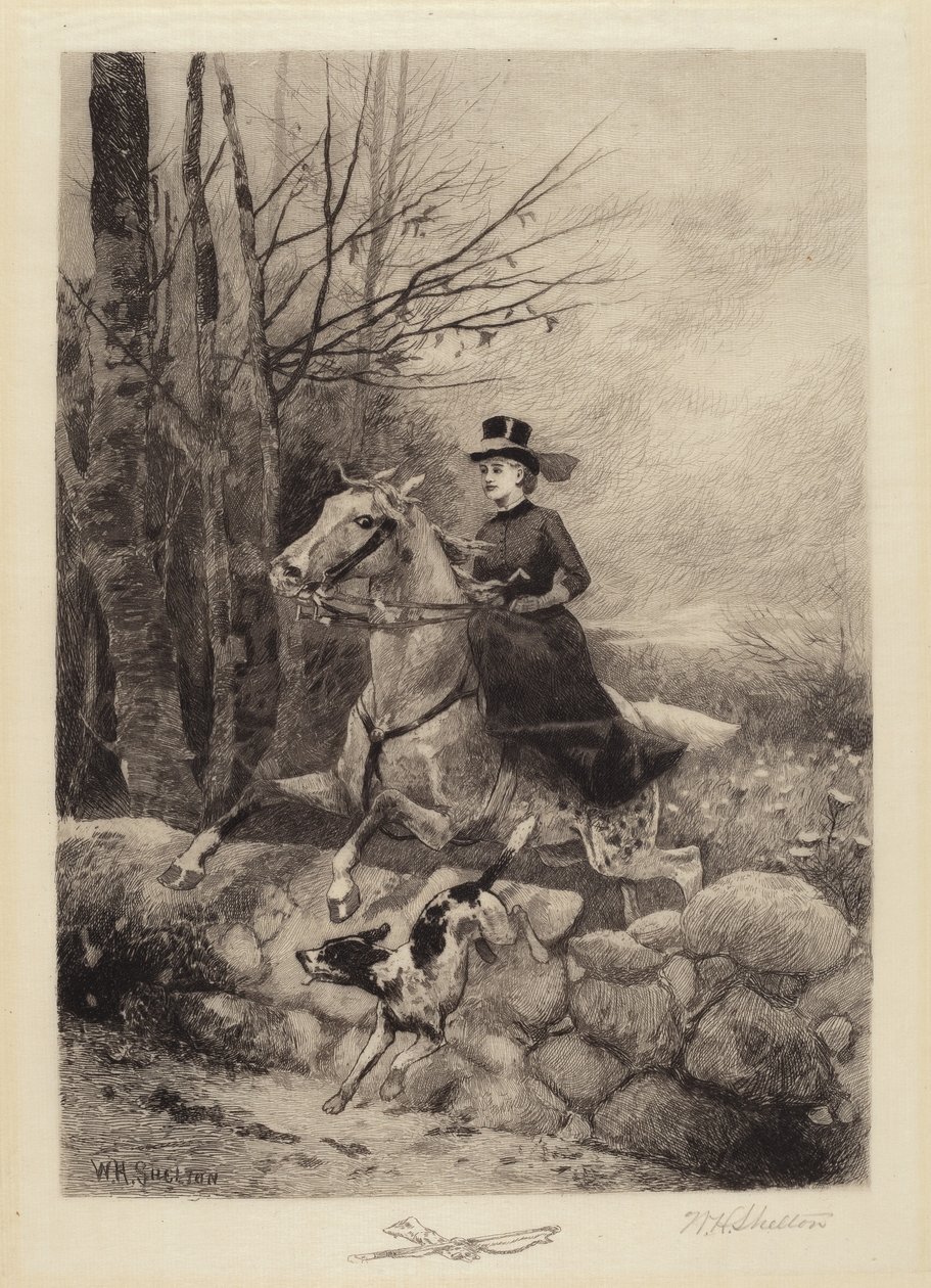 A kopók után alkotó: William Henry Shelton