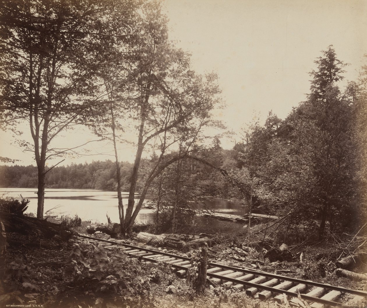 Beechwood Lake,c. 1895 (fotó) alkotó: William Herman Rau