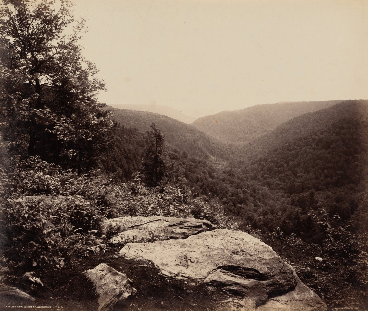 Cliff View, Alleghenies-csúcs,c. 1895 (fotó) alkotó: William Herman Rau