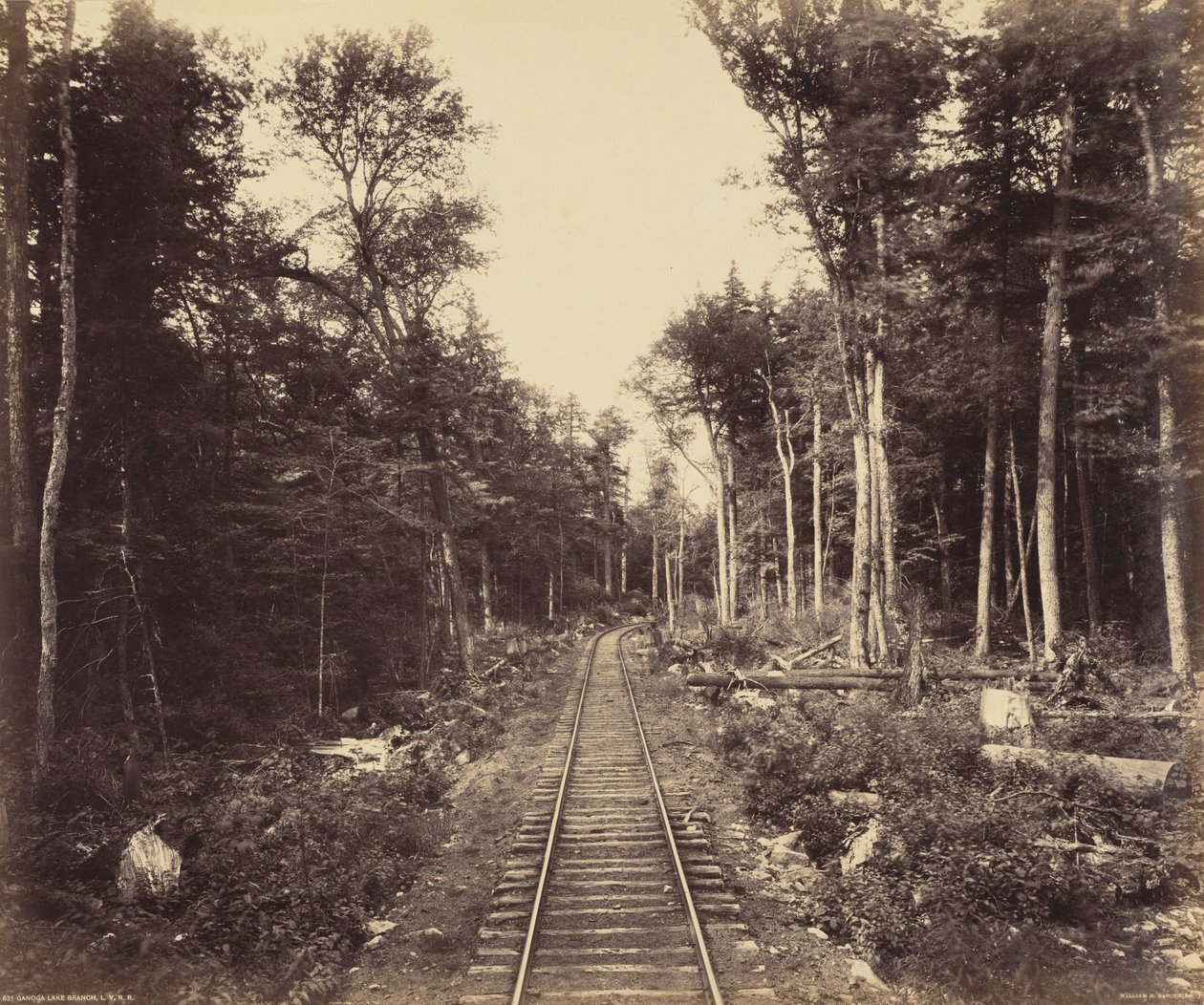 Ganoga Lake Branch, 1895 körül (fotó) alkotó: William Herman Rau