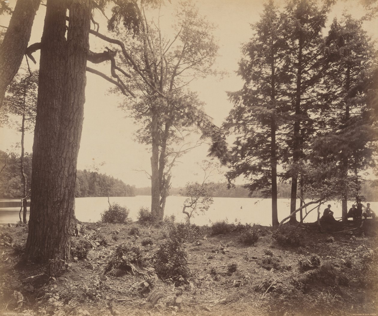 Ganoga-tó, 1895 körül (fotó) alkotó: William Herman Rau
