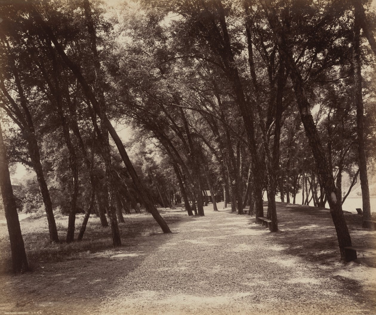 Piknikpálya,c. 1895 (fotó) alkotó: William Herman Rau
