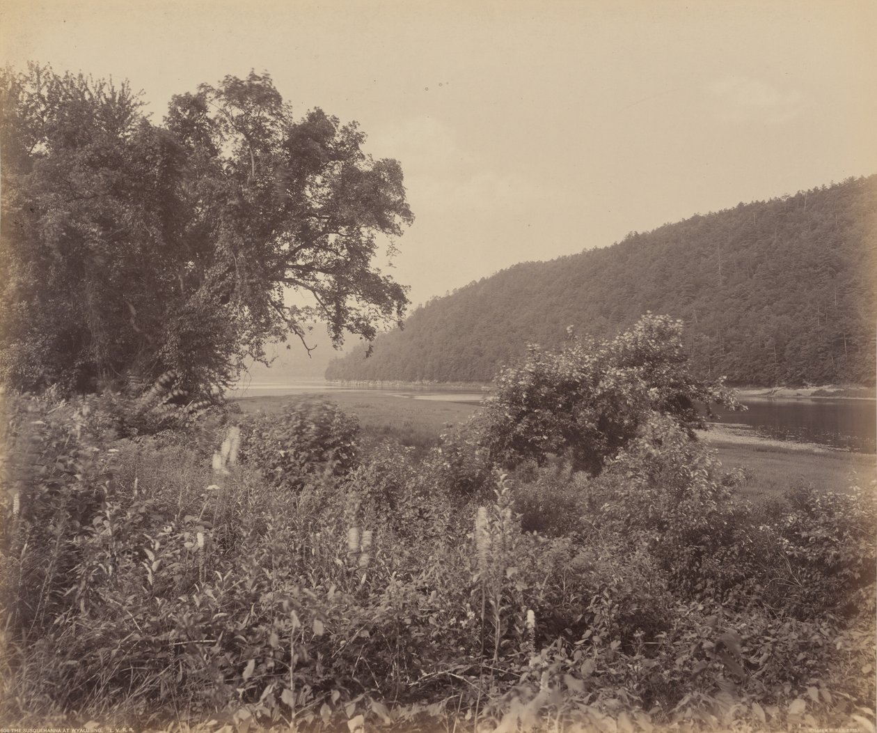 A Susquehanna Wyalusingnál,c. 1895 (fotó) alkotó: William Herman Rau