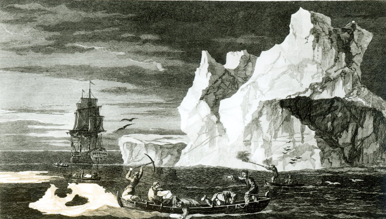 A Jégszigetek 1773. január 9-én, metszett B. T. Pouney, 1777. február 31. alkotó: William Hodges