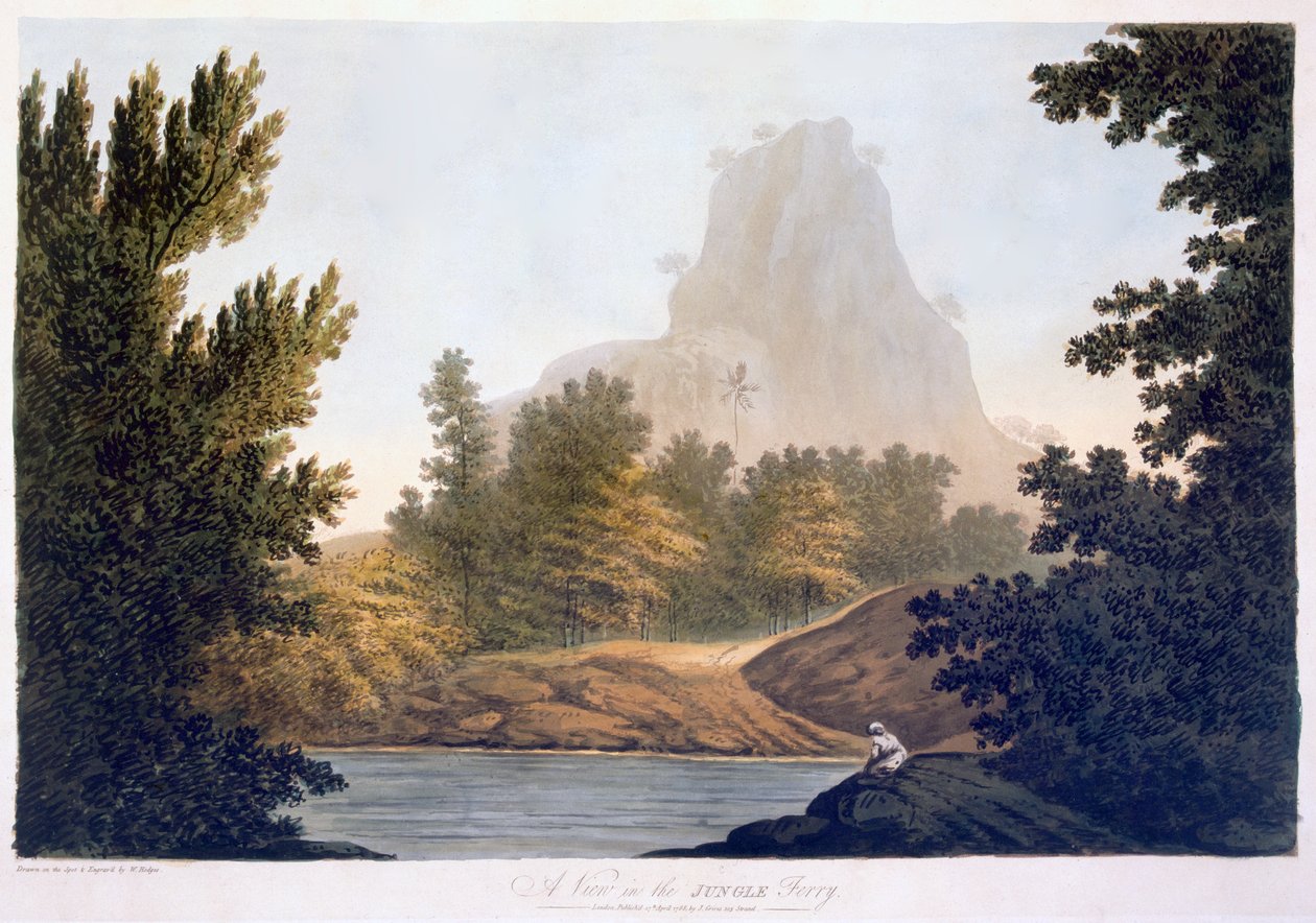 Kilátás a dzsungelre, 1788 (akvatinta) alkotó: William Hodges