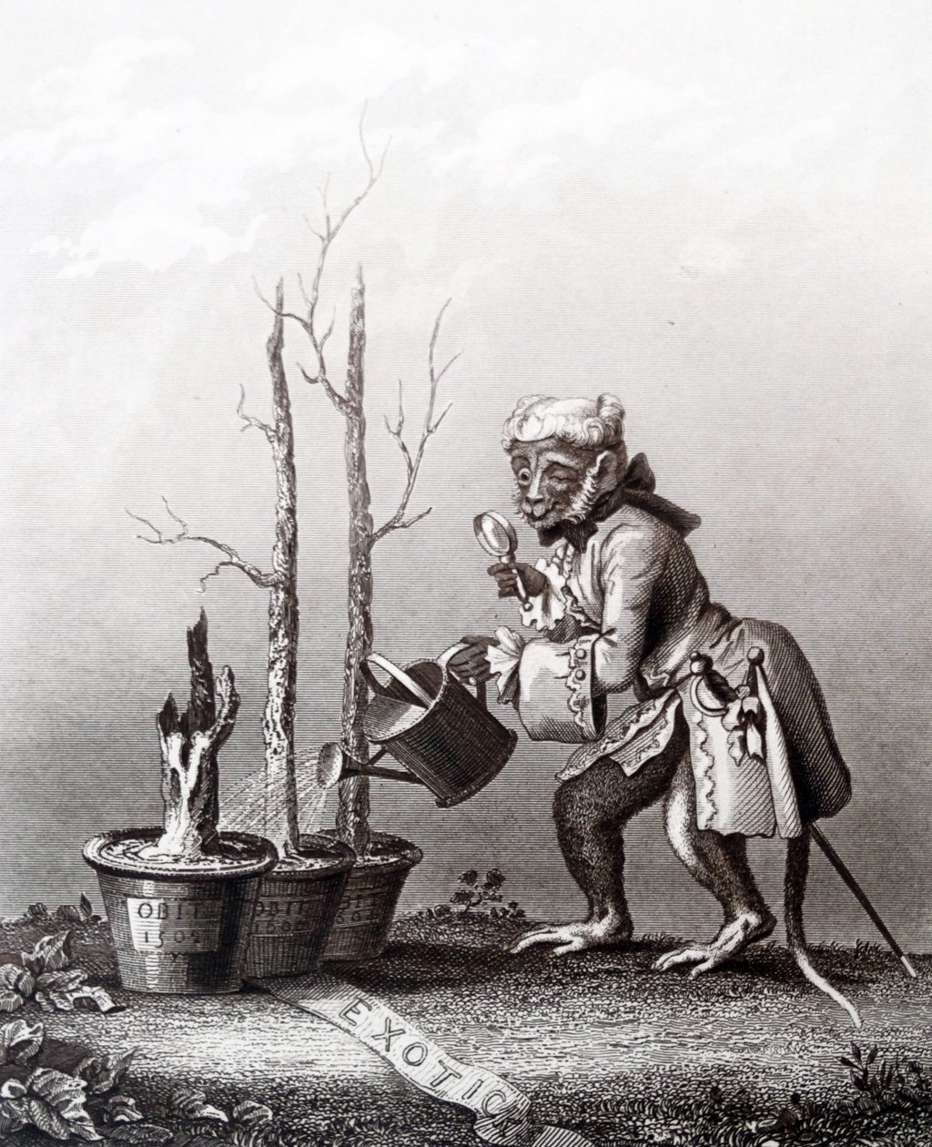 Farokdarab a művészkatalógushoz alkotó: William Hogarth