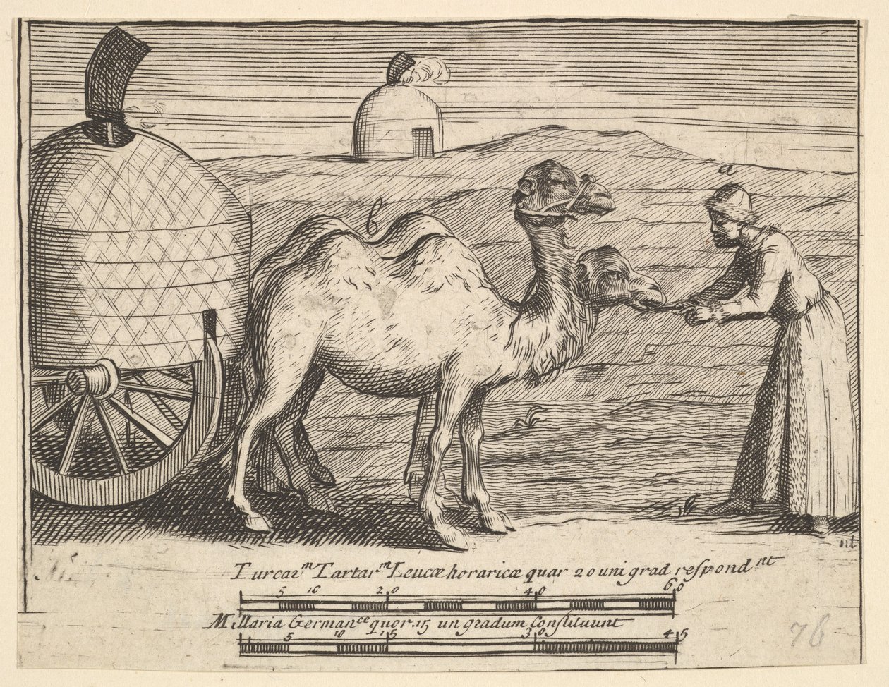 Két dromedár Aubry de La Mottrayes Európa-szerte, Ázsiában és a ... részbe utazik, 1723-24. alkotó: William Hogarth