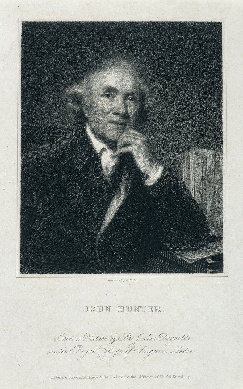 John Hunter, FRS, c1850-c1870 alkotó: William Holl