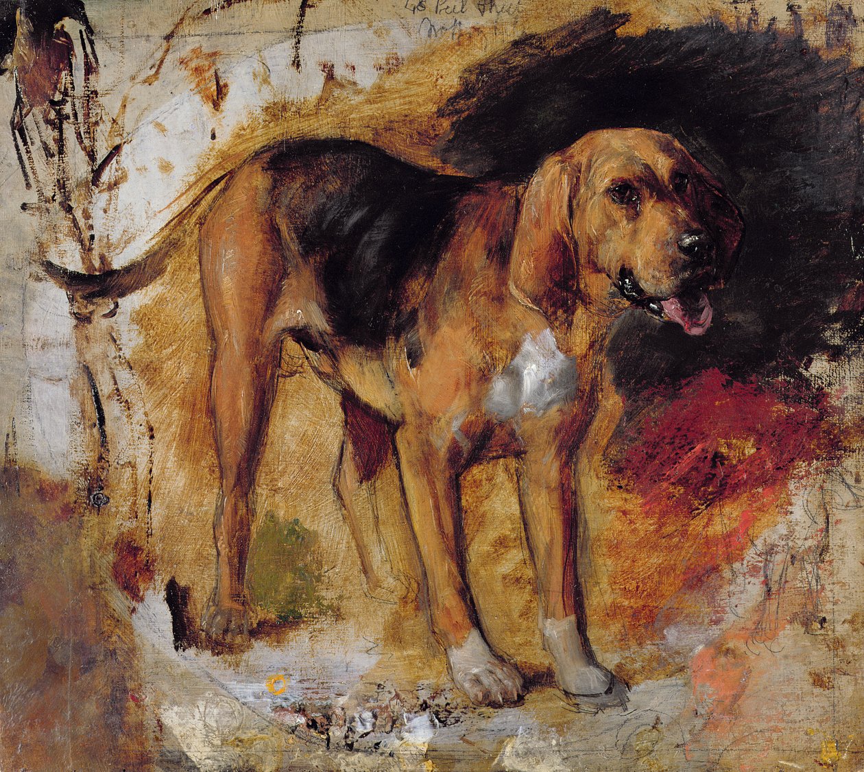 Tanulmány egy vérebről alkotó: William Holman Hunt