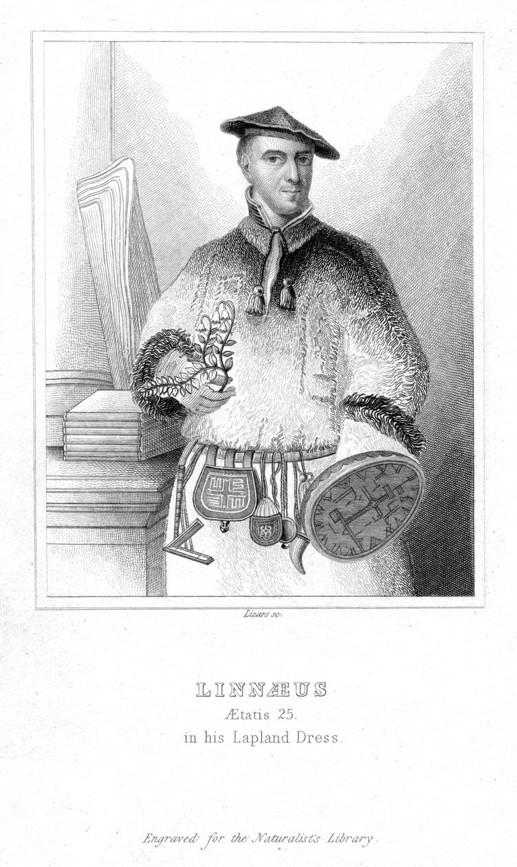 Carolus Linnaeus, svéd természettudós, 1732, 19. század eleje alkotó: William Home Lizars