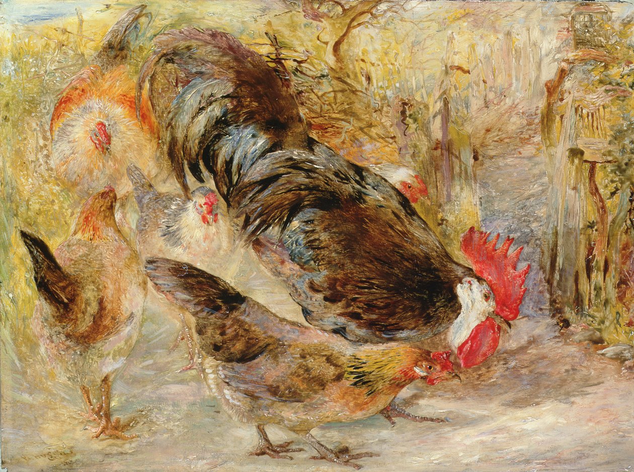 Barn Door Fowl (Rhode Island Reds), 1860 alkotó: William Huggins